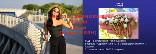 гашик Армянск