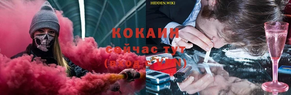 прущие крисы Аркадак