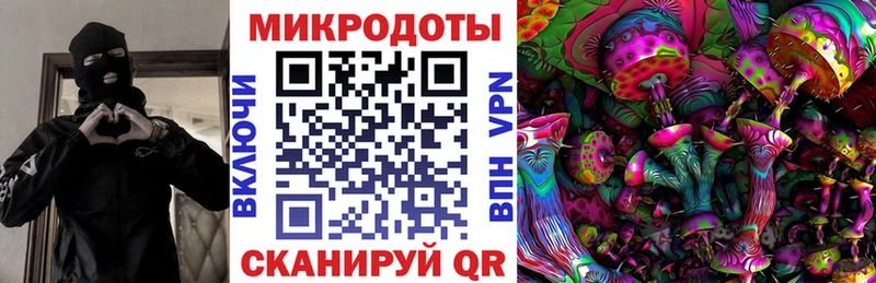blacksprut ONION  Белозерск  Галлюциногенные грибы Cubensis 